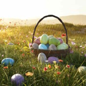 ©lassedesignen_stock.adobe.com_489887855