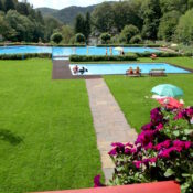 BSA_Zorge_Waldschwimmbad©Brigitte-Kusian
