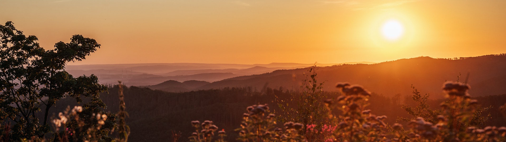 Ravensberg Bad Sachsa